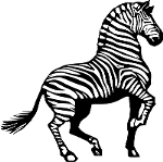 [picture of a Zebra]